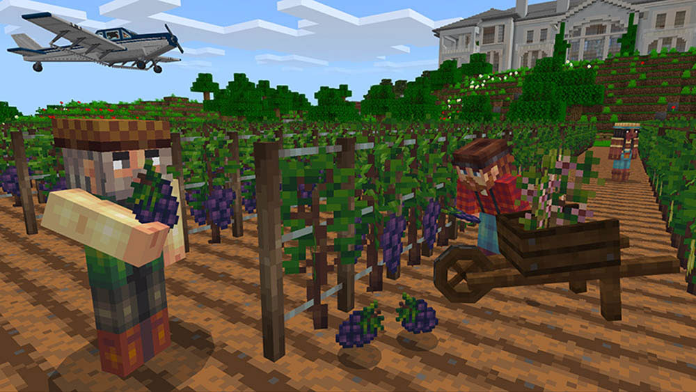 Minecraft Farm Life